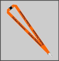 Alaskan Malamute lanyard